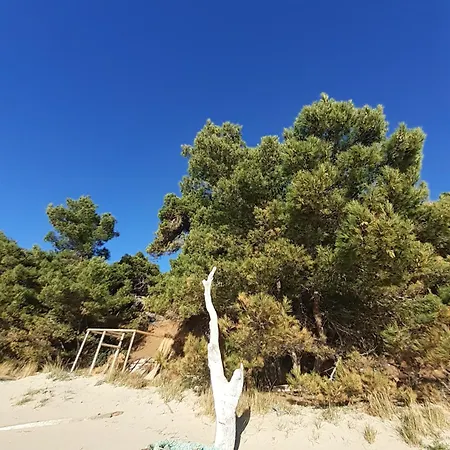 Bianca Mljet Mit Meerblick アパート *