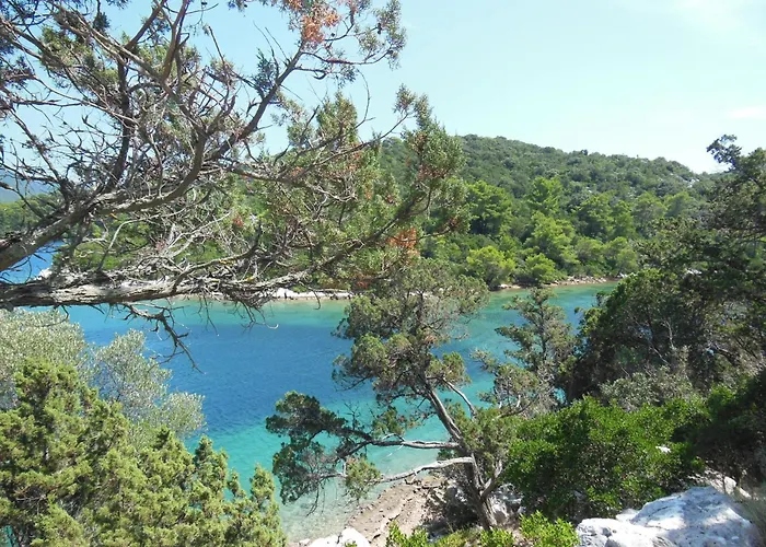 Lejlighed Bianca Mljet Komfort Mit Meerblick Okuklje
