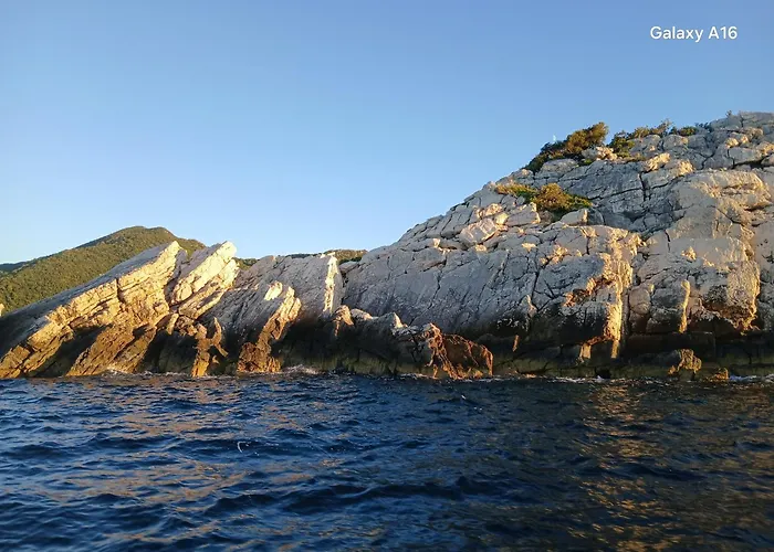 Bianca Mljet Komfort Mit Meerblick Lejlighed