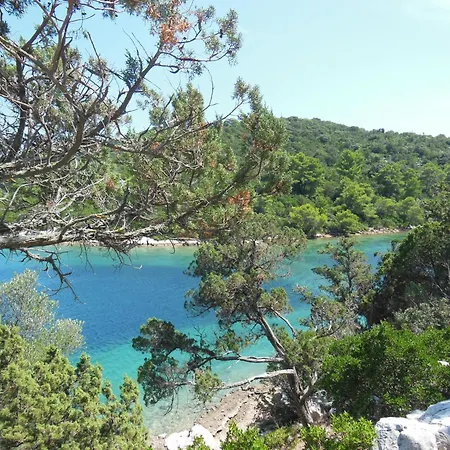 Apartman Bianca Mljet Mit Meerblick Okuklje