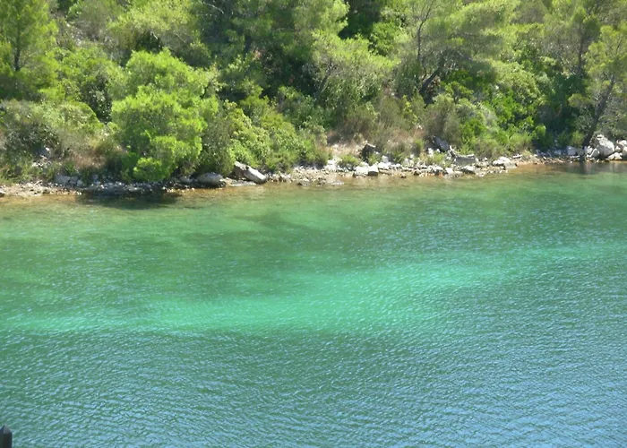 아파트 Bianca Mljet Komfort Mit Meerblick Okuklje