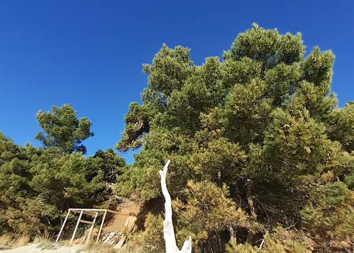 Bianca Mljet Komfort Mit Meerblick 아파트 *